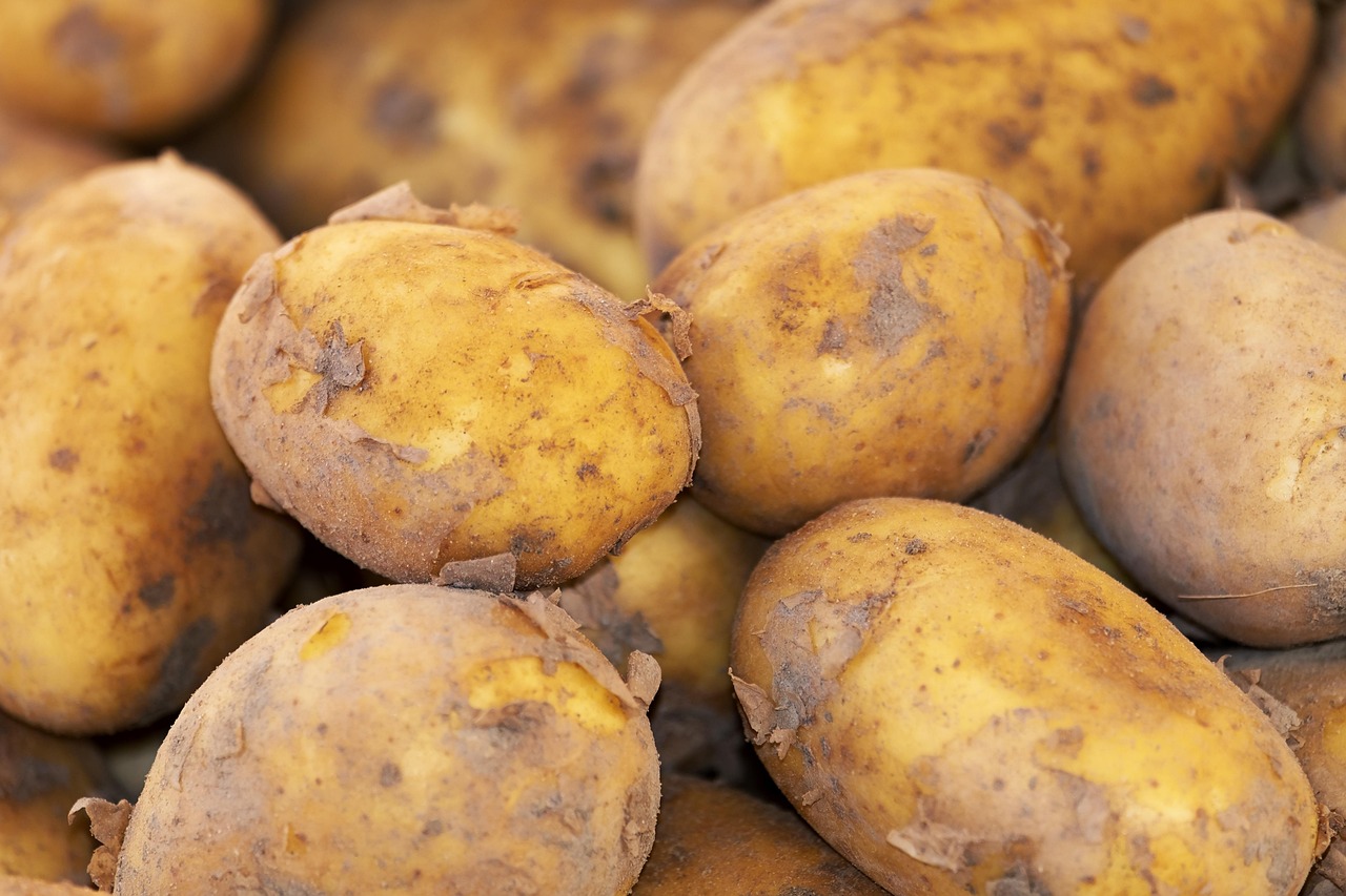 Potato, new harvest, nature — Blog Content Strategy for 51 Game SEO
