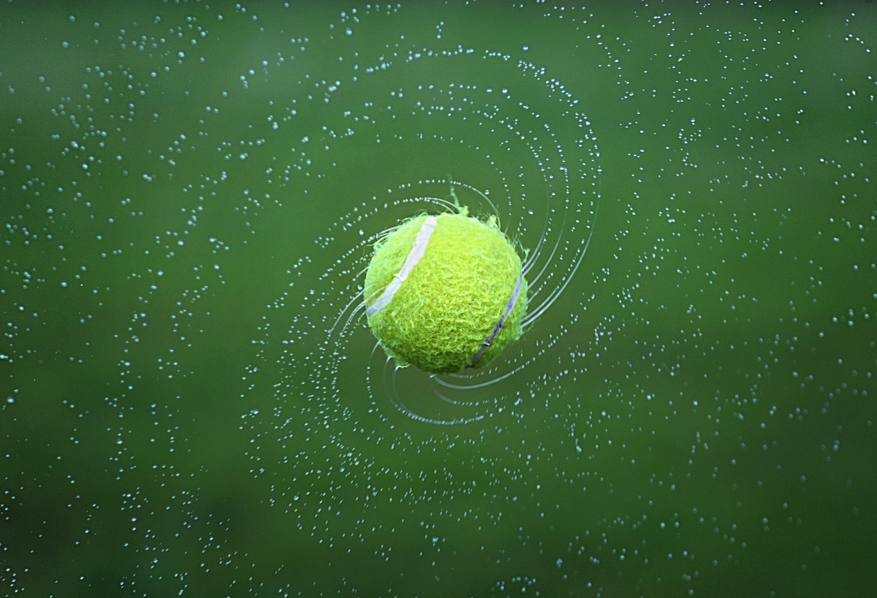 Tennis, tennis ball, spinning — Exploring the Exciting World of Sports Card Shows in North Carolina
