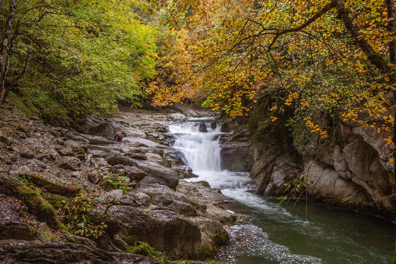 River, nature, landscape — IPTV Services Offering Seamless Access to Live Channels and On-Demand Content