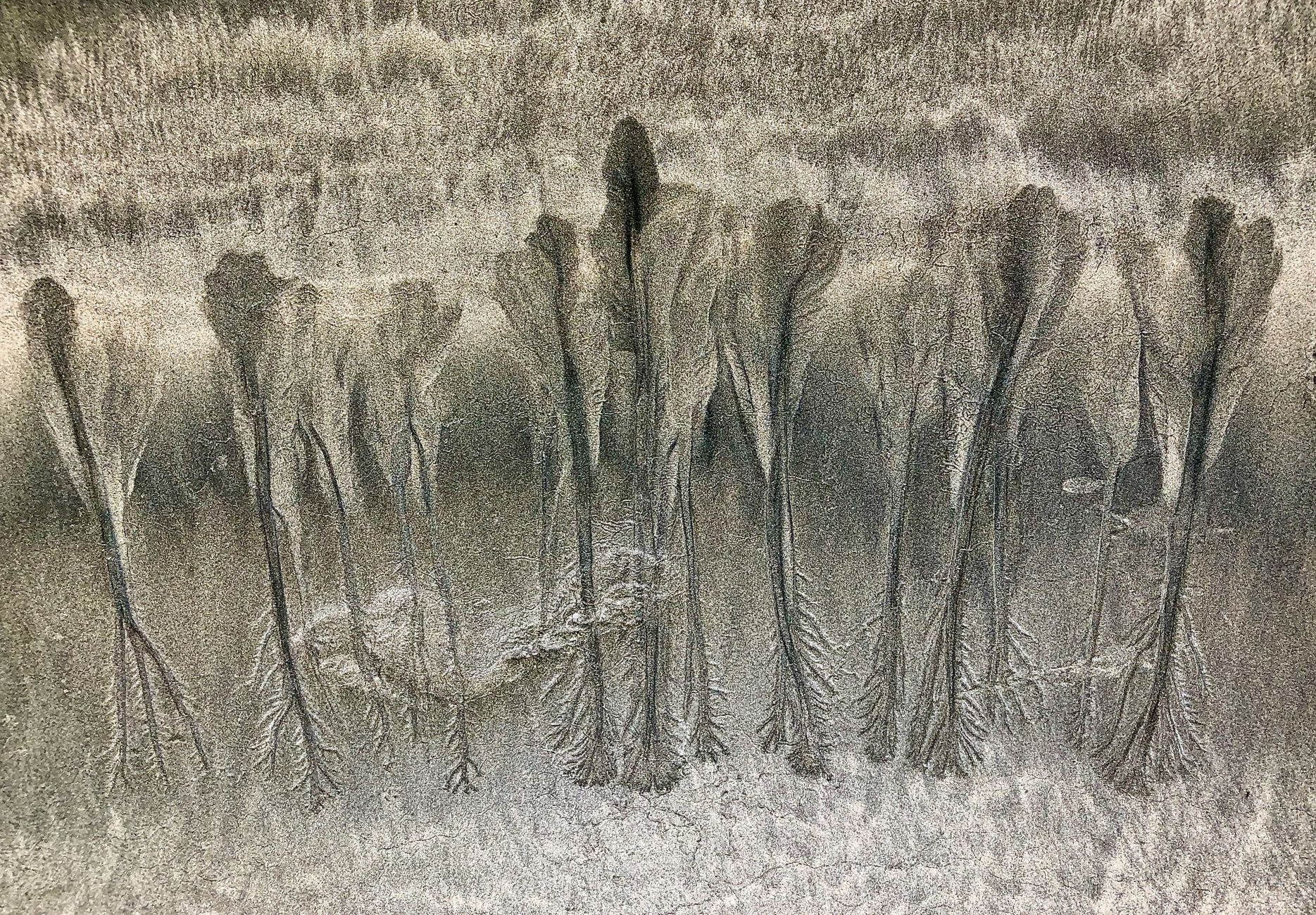 dendrite formation in batteries
