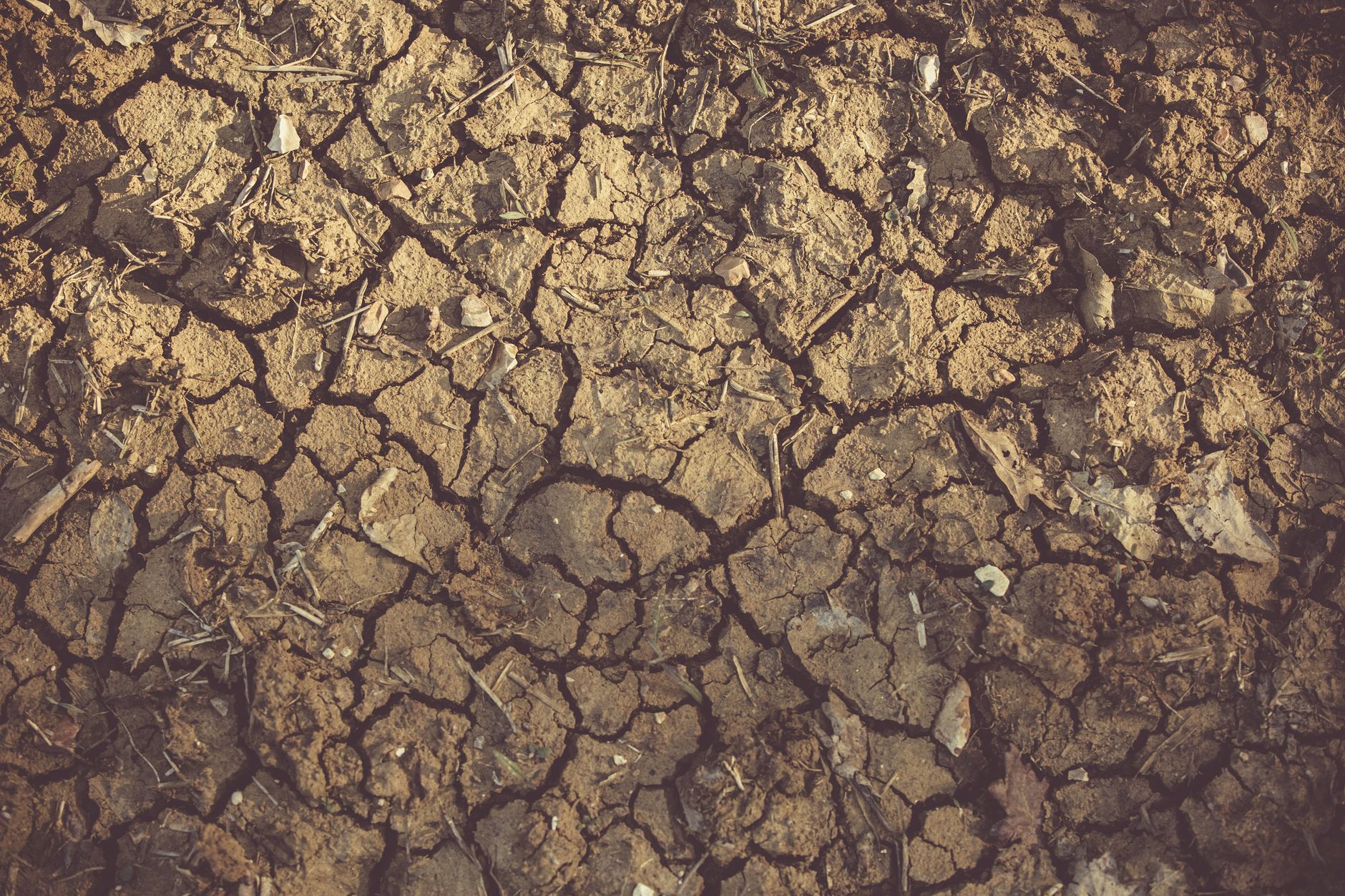 Yavatmal drought impact