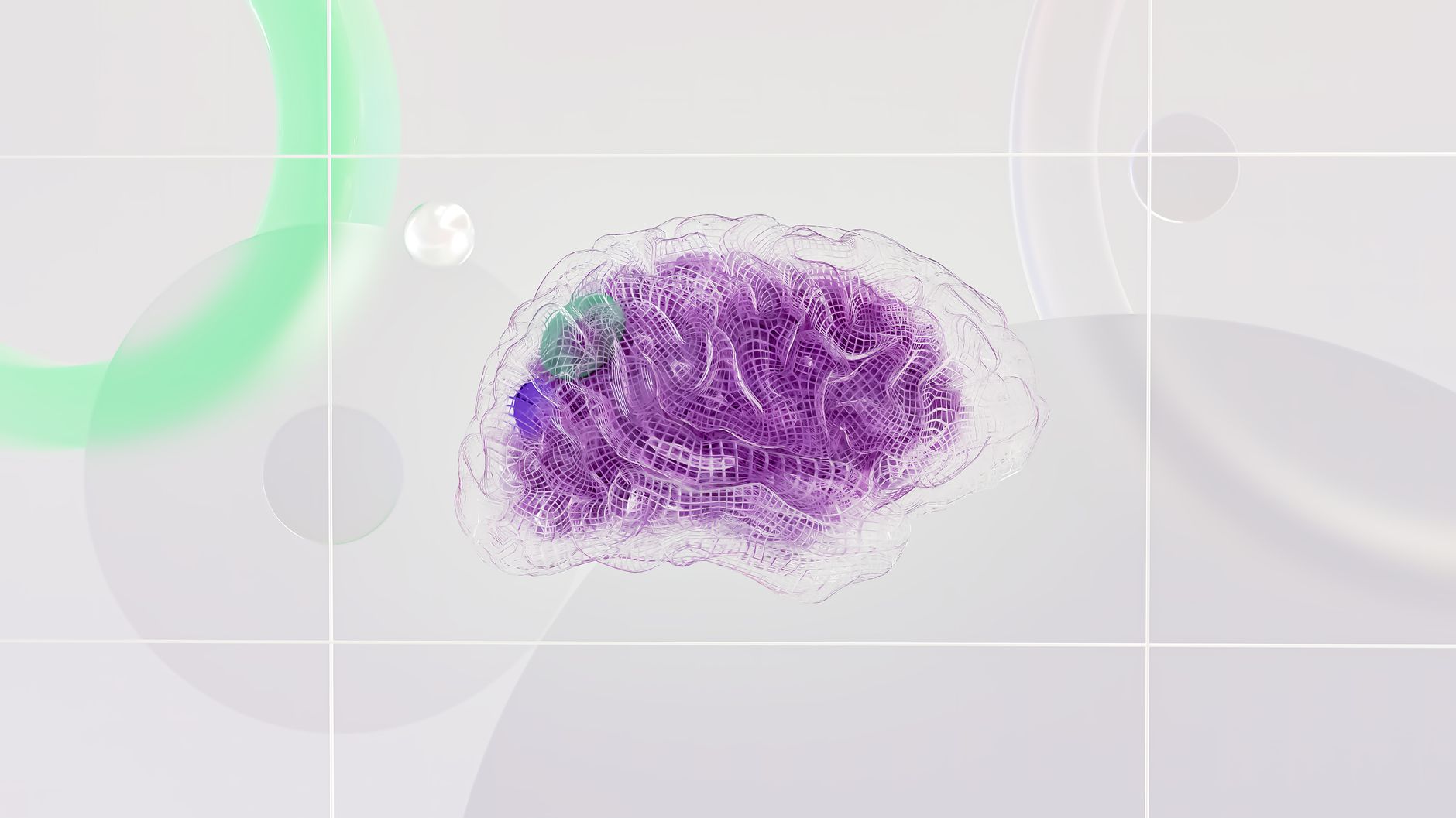 neuroscience of learning